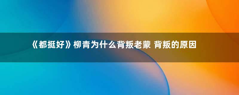 《都挺好》柳青为什么背叛老蒙 背叛的原因是什么